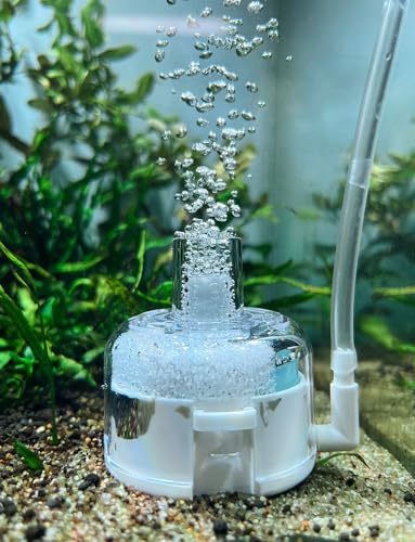 boxtech Aquarium Filter, mit Physikalisch Schwammfilter und Biochemischen Filtermaterial aus Tonkugeln, Ideal für Kleine Runde Aquarien (BT301 Filter) boxtech Aquarium Filter, mit Physikalisch Schwammfilter und Biochemischen Filtermaterial aus Tonkugeln, Ideal für Kleine Runde Aquarien (BT301 Filter) von boxtech