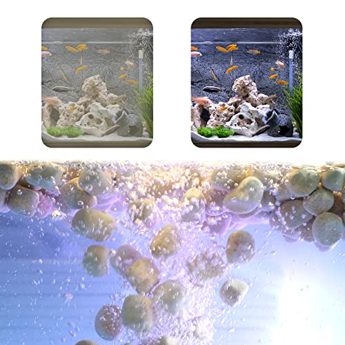 boxtech Aquarium-Filtermedien (400 g) von boxtech