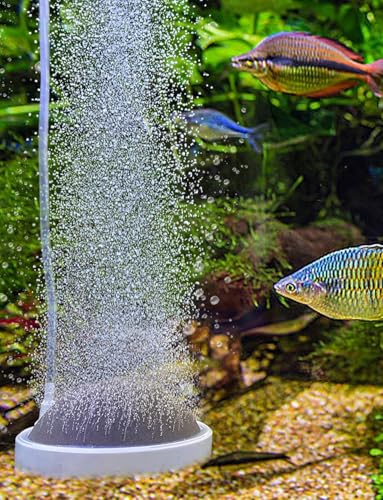 boxtech Aquarium Luftstein,SauerstoffStein Nano Bubble Air Stone Dekor, Aquarium Zubehör Tiny Bubbles（100MM） von boxtech