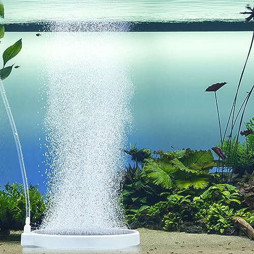 boxtech Aquarium Luftstein,Sauerstoff Stein Nano Bubble Air Stone Kit,Super-High Diffusor für gelösten Sauerstoff Lässt Super Tiny Bubbles für Aquarium und Hydroponic(100 mm) von boxtech