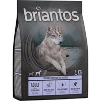 Briantos Adult Ente & Kartoffel - getreidefrei - 4 x 1 kg von briantos