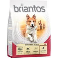 Briantos Adult Huhn & Reis - 4 x 1 kg von briantos