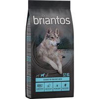 Briantos Adult Lachs & Kartoffel - getreidefrei - 12 kg von briantos
