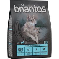 Briantos Adult Lachs & Kartoffel - getreidefrei - 4 x 1 kg von briantos