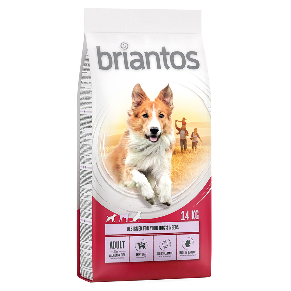 Briantos Adult Lachs & Reis - 14 kg von briantos