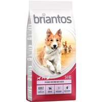Briantos Adult Lachs & Reis - 2 x 14 kg von briantos