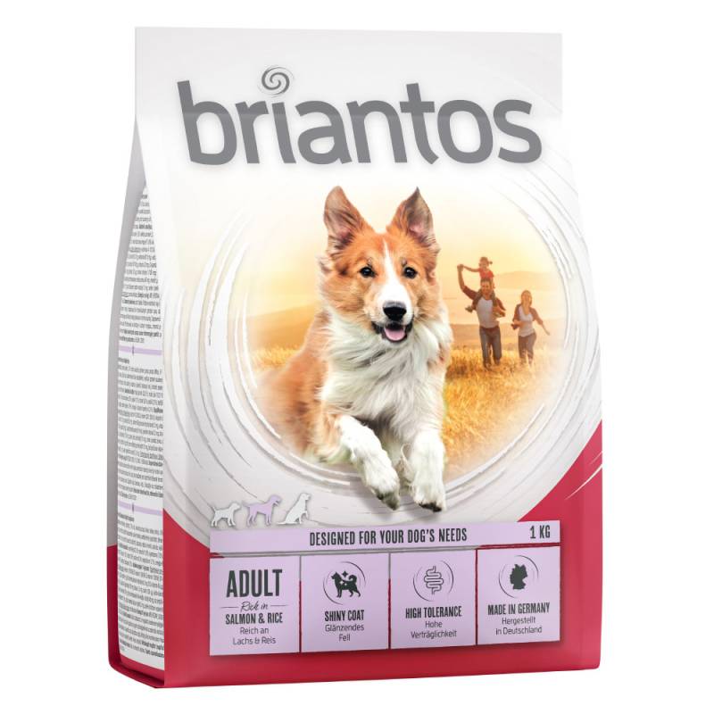 Briantos Adult Lachs & Reis - Sparpaket: 4 x 1 kg von briantos