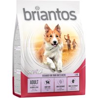 Briantos Adult Lachs & Reis - 4 x 1 kg von briantos