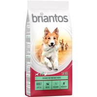 Briantos Adult Lamm & Reis - 14 kg von briantos