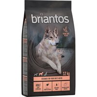 Briantos Adult Light/Sterilised Pute & Kartoffel - getreidefrei - 12 kg von briantos