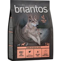 Briantos Adult Light/Sterilised Pute & Kartoffel - getreidefrei - 4 x 1 kg von briantos