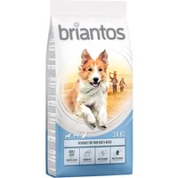 Briantos Adult Light - 14 kg von briantos