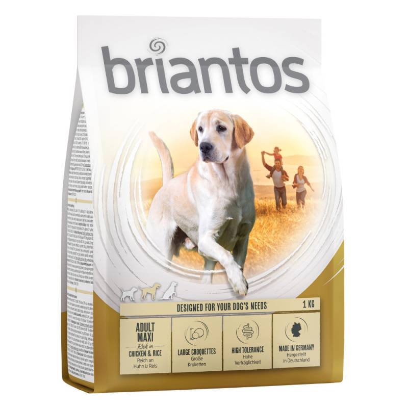 Briantos Adult Maxi - Sparpaket: 4 x 1 kg von briantos