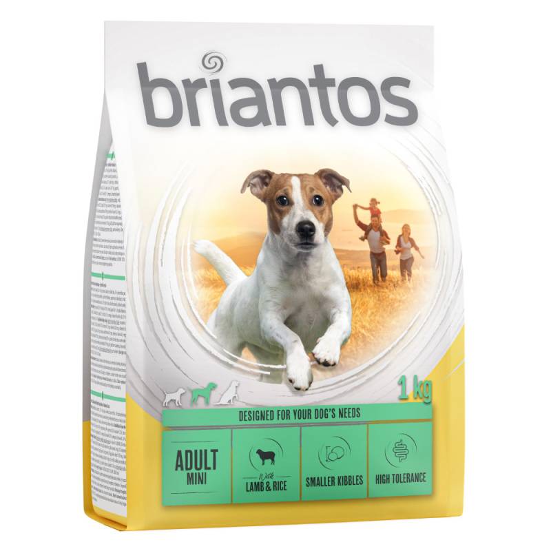 Briantos Adult Mini Lamm & Reis - 1 kg von briantos