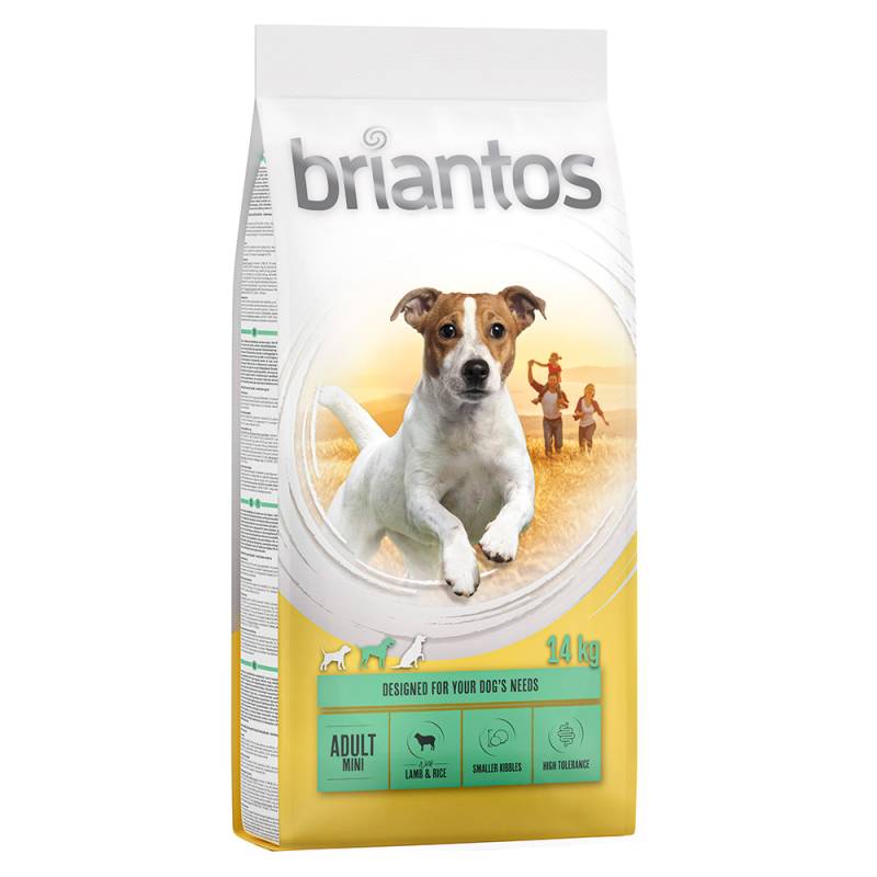 Briantos Adult Mini Lamm & Reis - Sparpaket: 8 x 1 kg von briantos