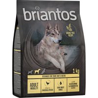 Briantos Adult Mobility Huhn & Kartoffel - getreidefrei - 1 kg von briantos