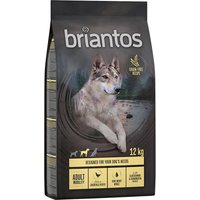 Briantos Adult Mobility Huhn & Kartoffel - getreidefrei - 12 kg von briantos