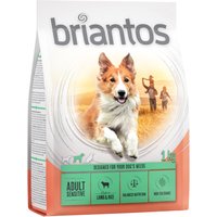 Briantos Adult Sensitive Lamm & Reis - 4 x 1 kg von briantos
