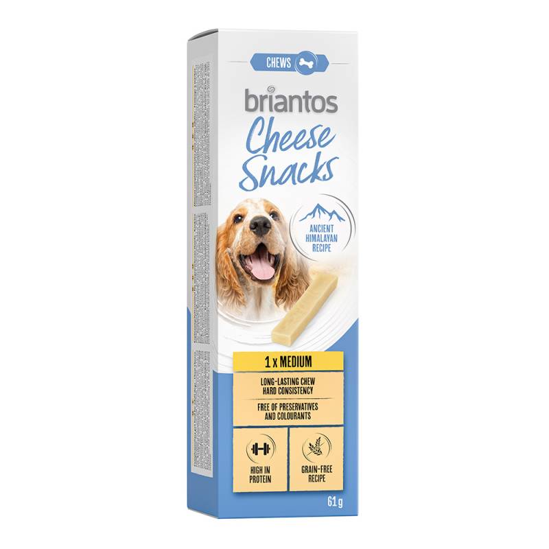Briantos Cheese Snack für Hunde - Mittel (1 x 60 g) von briantos