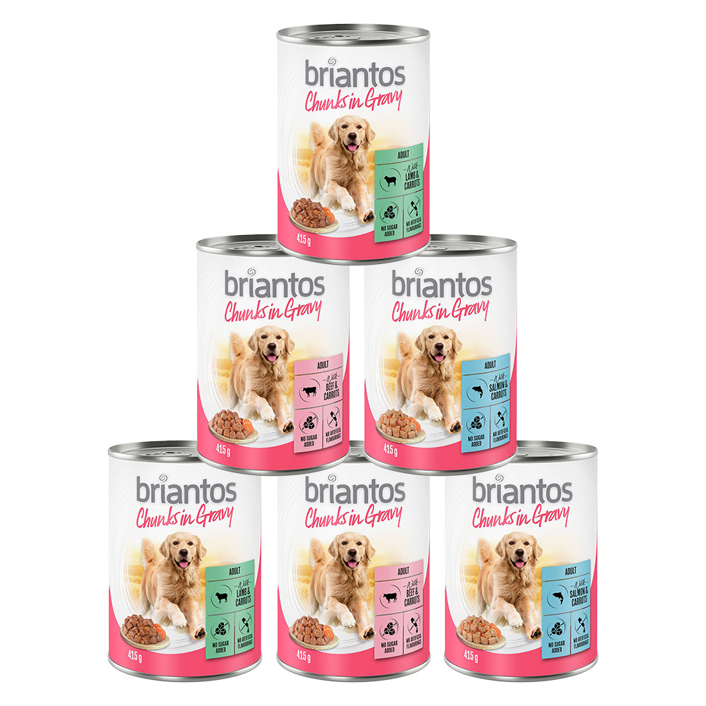 Briantos Chunks in Gravy Probiermix - 24 x 415 g von briantos