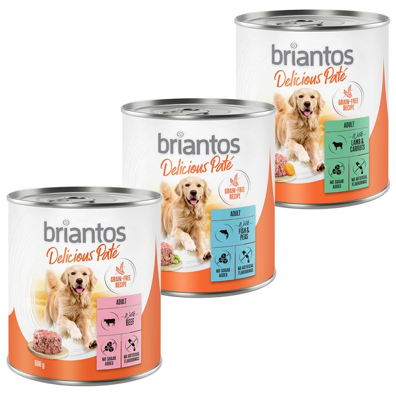 Briantos Delicious Paté 24 x 800 g - Mix: Fisch, Lamm & Rind von briantos