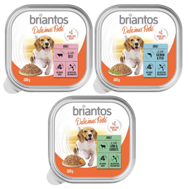 Briantos Delicious Paté 27 x 300 g - Mix: Fisch, Lamm & Rind Briantos Delicious Paté 27 x 300 g - Mix: Fisch, Lamm & Rind von briantos