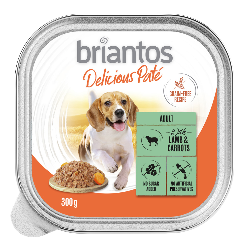 Briantos Delicious Paté 9 x 300 g - Lamm und Karotten Briantos Delicious Paté 9 x 300 g - Lamm und Karotten von briantos