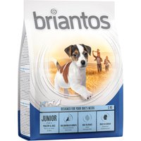 Briantos Junior - 1 kg von briantos