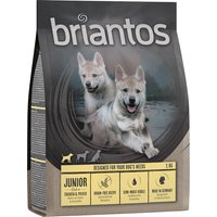 Briantos Junior Huhn & Kartoffel - getreidefrei - 1 kg von briantos