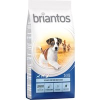 Briantos Junior - 2 x 14 kg von briantos