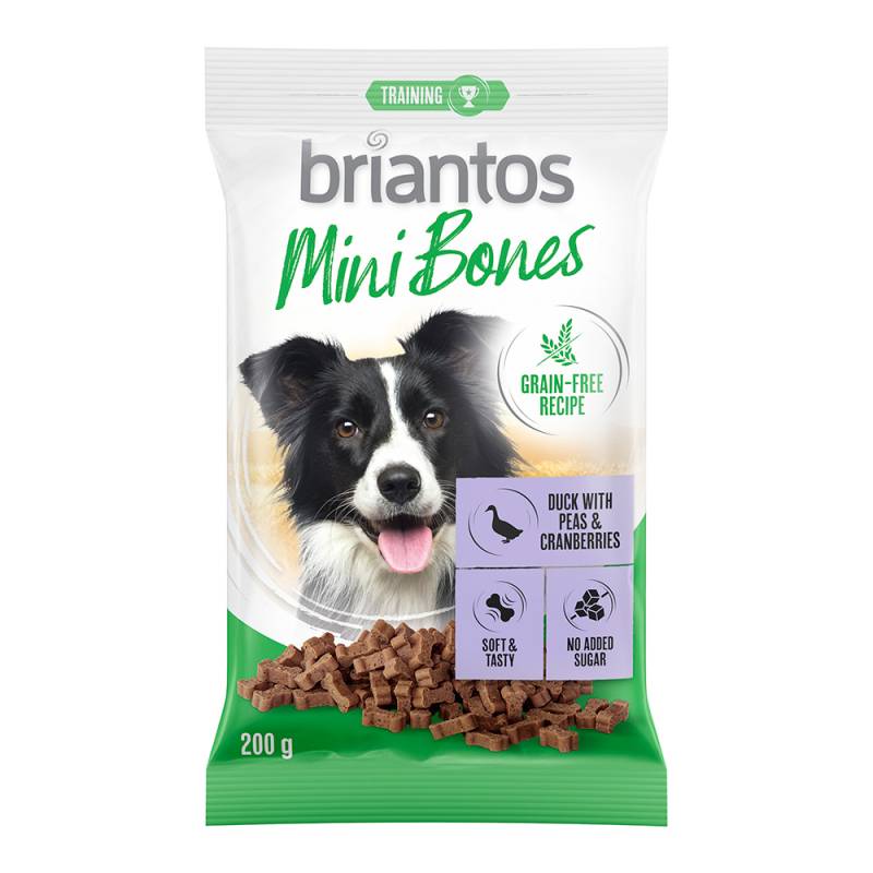 Briantos Mini Bones Getreidefreie Rezeptur für Hunde 200 g - mit Lachs, Karotten & Thymian von briantos