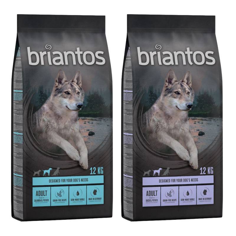 Briantos Sparpaket (2 x Großgebinde) - Mix Adult GETREIDEFREI: Ente + Lachs (2 x 12 kg) von briantos