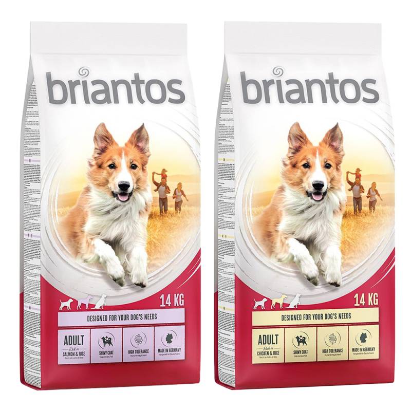 Briantos Sparpaket (2 x Großgebinde) - Mix Adult: Lachs + Huhn (2 x 14 kg) von briantos