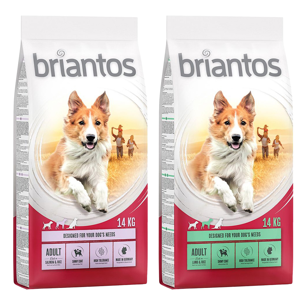 Briantos Sparpaket (2 x Großgebinde) - Mix Adult: Lachs + Lamm (2 x 14 kg) von briantos