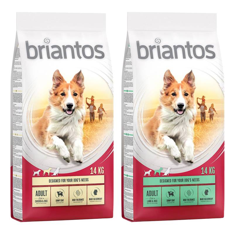 Briantos Sparpaket (2 x Großgebinde) - Mix Adult: Lamm + Huhn (2 x 14 kg) von briantos