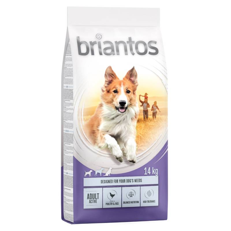 Briantos Trockenfutter 12 / 14 kg zum Sonderpreis! - Adult Active (14 kg) von briantos
