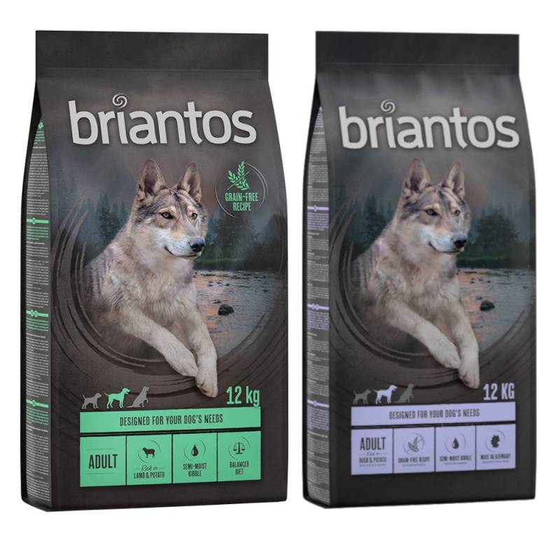 Kombi-Paket: Briantos Adult Getreidefrei 2 x 12 kg - Mixpaket (Ente, Lamm) von briantos