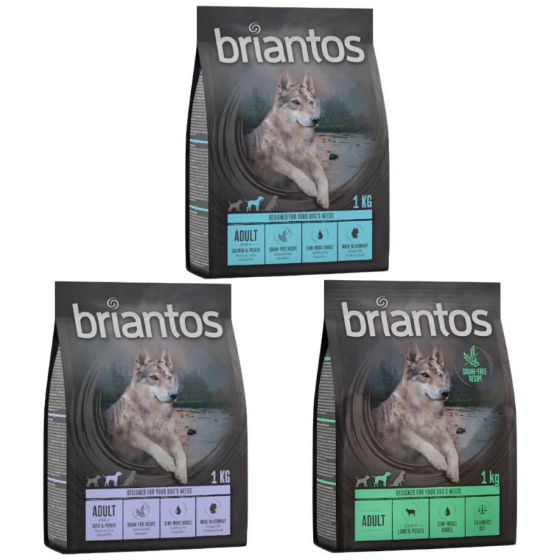 Probeangebot! Briantos Mix 1 kg Getreidefreie Rezeptur - Ente + Lachs + Lamm Probeangebot! Briantos Mix 1 kg Getreidefreie Rezeptur - Ente + Lachs + Lamm von briantos