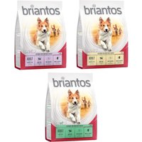 Probierpaket Briantos Adult 3 x 1 kg - Mix (Lamm, Lachs, Huhn) von briantos