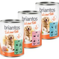 Probierpaket Briantos Delicious Paté - 24 x 400 g (3 Sorten gemischt) von briantos