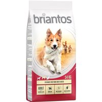 Sparpaket Briantos Trockenfutter - Adult Huhn & Reis  (2 x 14 kg) von briantos