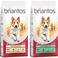 Sparpaket Briantos Trockenfutter - Adult-Mix: Lamm + Huhn (2 x 14 kg) von briantos
