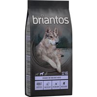 Sparpaket Briantos getreidefrei 2 x 12 kg - Adult Ente & Kartoffel von briantos