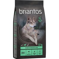 Sparpaket Briantos getreidefrei 2 x 12 kg - Adult Lamm & Kartoffel von briantos