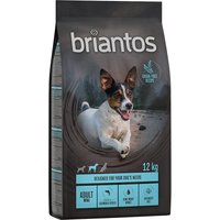 Sparpaket Briantos getreidefrei 2 x 12 kg - Adult Mini Lachs &  Kartoffel von briantos