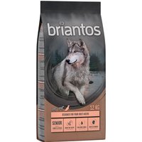 Sparpaket Briantos getreidefrei 2 x 12 kg - Senior Pute & Kartoffel von briantos