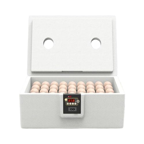 10–25 Ei -Inkubator - Digital Hatch Box, Mini -Vogel -Zuchteinheit | Vielseitiges Schlupfsystem Mit Thermischer Regulierung Und Klarer Deckel Für Schildkröte, Gänse, Reptilien Und Vogelpflege, 10–25 Ei -Inkubator - Digital Hatch Box, Mini -Vogel -Zuchteinheit | Vielseitiges Schlupfsystem Mit Thermischer Regulierung Und Klarer Deckel Für Schildkröte, Gänse, Reptilien Und Vogelpflege, von brooksnaji