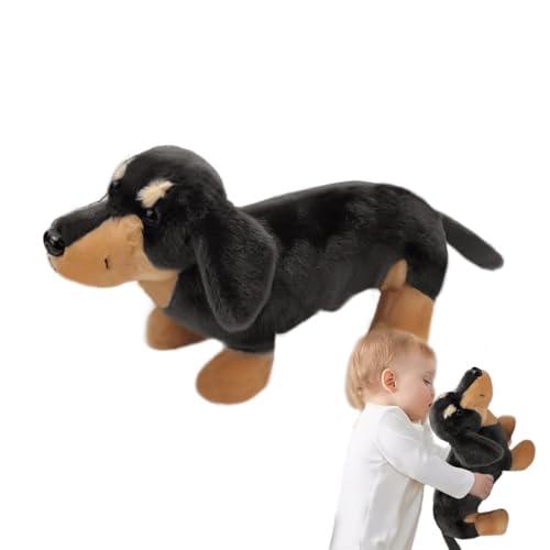 Dackel Puffer-Zange – weiches Kissen Welpen, entzückendes Haustier, gefüllte Hundepuppe mit Floppy-Ohren, bequemes Tierkissen für das Bett Sofa Dackel Puffer-Zange – weiches Kissen Welpen, entzückendes Haustier, gefüllte Hundepuppe mit Floppy-Ohren, bequemes Tierkissen für das Bett Sofa von brooksnaji