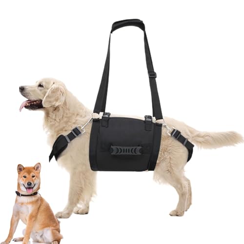 Esy Walk Dog Anneving - Heber Für Mittlere Hunde, Weste Für Hunde | Beste Unterstützung Einfach Zu Gehen Ohne Ersticken, Hilfsgurt, Einfache Leine Für C von brooksnaji