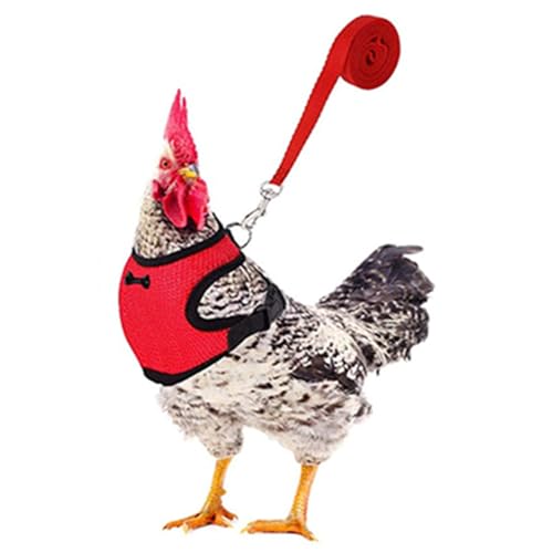 Huhn und Blei-Set – Verstellbarer Entengurt mit Blei und Gurt | Bequeme Haustierweste, atmungsaktiv, zum Trainieren von Hühnern und Enten, Fußgurt und C-Training Huhn und Blei-Set – Verstellbarer Entengurt mit Blei und Gurt | Bequeme Haustierweste, atmungsaktiv, zum Trainieren von Hühnern und Enten, Fußgurt und C-Training von brooksnaji